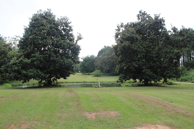 230 Roy Dailey Rd, Nauvoo, AL 35578 - photo 8