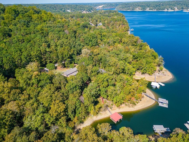drone / aerial view with a water view and a wooded view