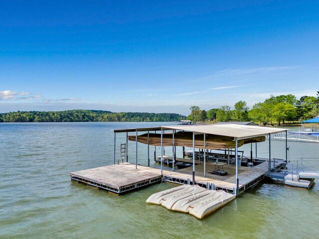 87 Lacey Ln, Arley, AL 35541 - photo 35
