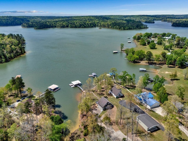 87 Lacey Ln, Arley, AL 35541 - photo 40
