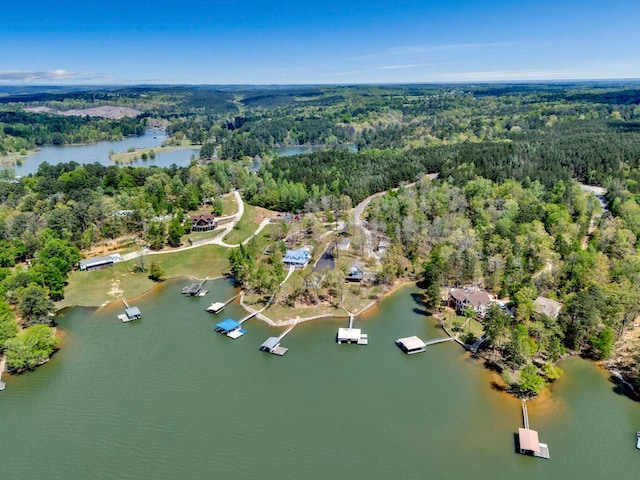87 Lacey Ln, Arley, AL 35541 - photo 38