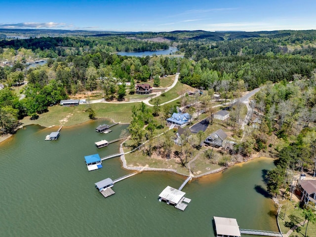 87 Lacey Ln, Arley, AL 35541 - photo 41