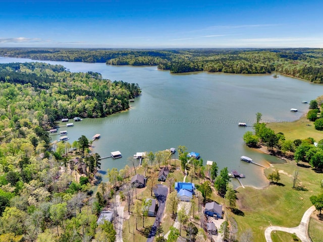 87 Lacey Ln, Arley, AL 35541 - photo 39