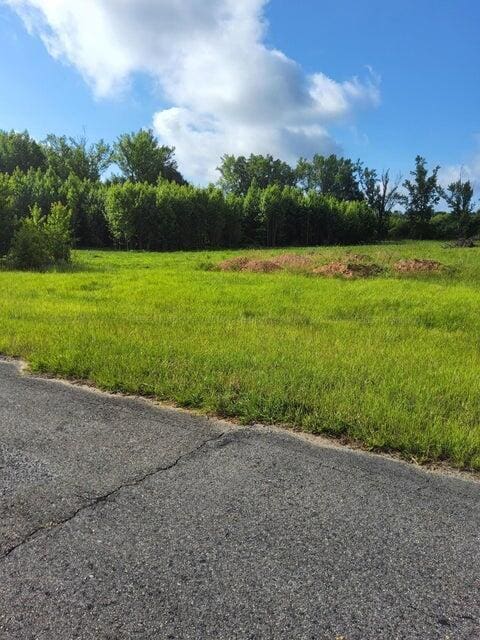 US Highway 43, Winfield, AL 35594 - photo 4
