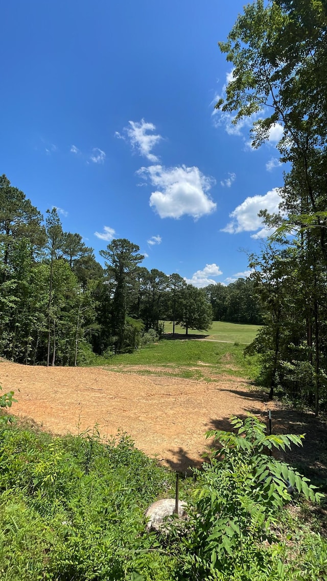 Sellers Rd, Dora, AL 35062 - photo 2