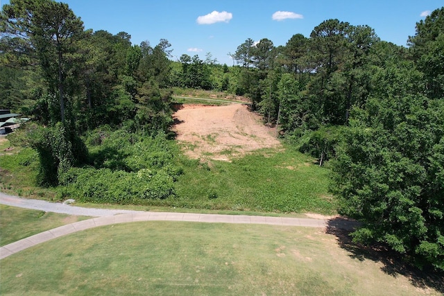 Sellers Rd, Dora, AL 35062 - photo 9