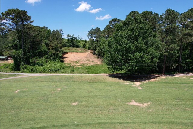 Sellers Rd, Dora, AL 35062 - photo 20