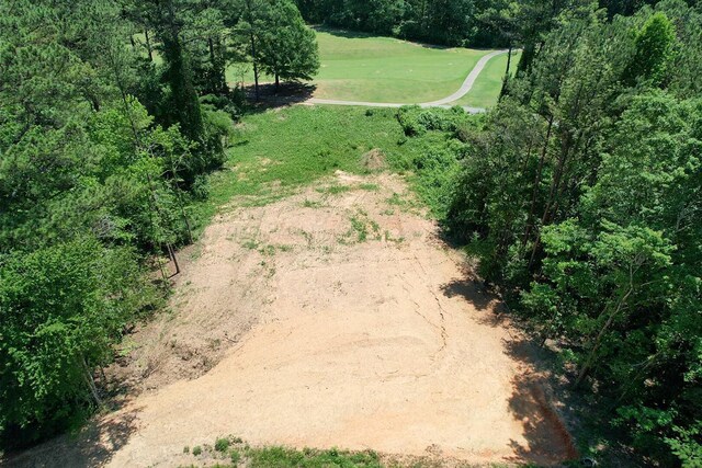 Sellers Rd, Dora, AL 35062 - photo 5