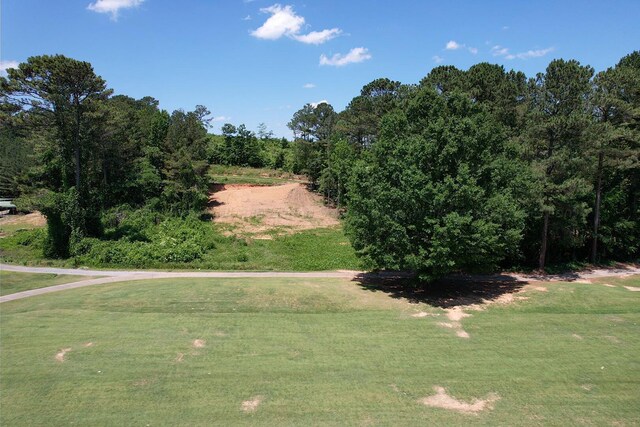 Sellers Rd, Dora, AL 35062 - photo 19