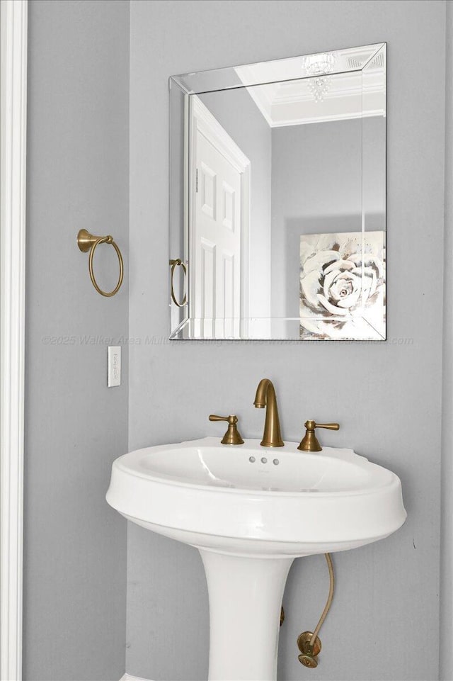 bathroom featuring a sink and crown molding