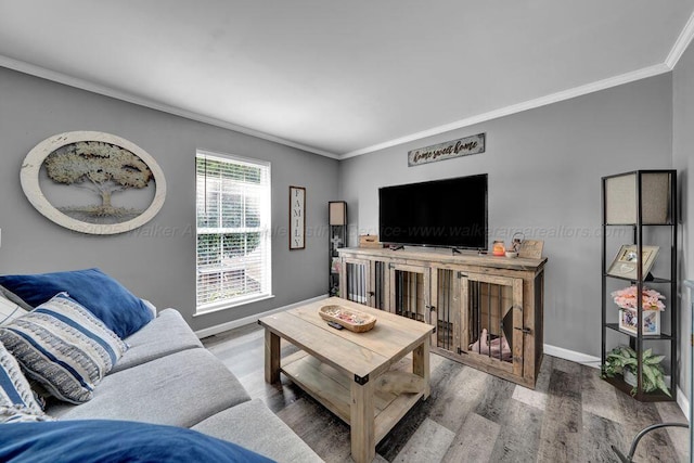 805 3rd Ave, Jasper, AL 35501 - living area with crown molding and wood finished floors