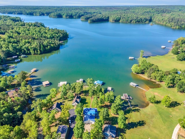 84 Lacey Ln, Arley, AL 35541 - photo 5