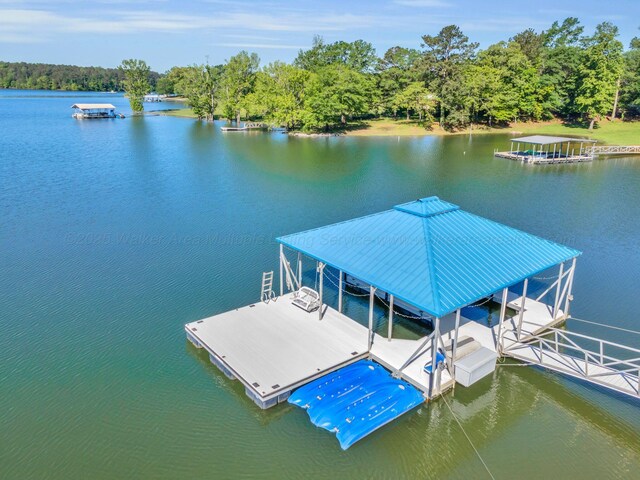 84 Lacey Ln, Arley, AL 35541 - photo 41