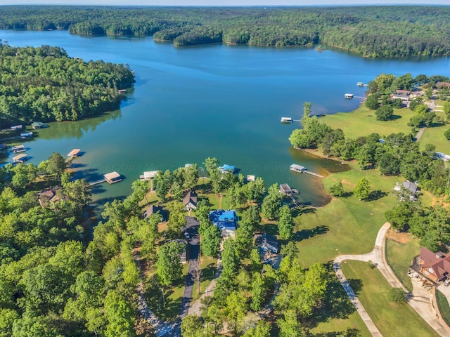 84 Lacey Ln, Arley, AL 35541 - photo 42
