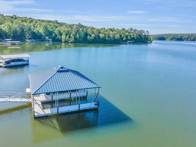 84 Lacey Ln, Arley, AL 35541 - photo 6