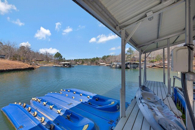 233 County Road 244, Arley, AL 35541 - photo 41
