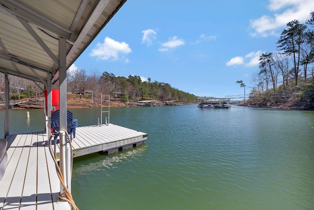 233 County Road 244, Arley, AL 35541 - photo 42