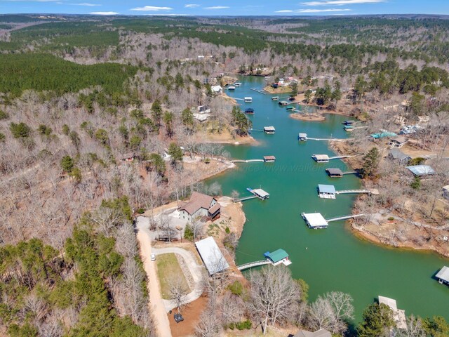 233 County Road 244, Arley, AL 35541 - photo 43