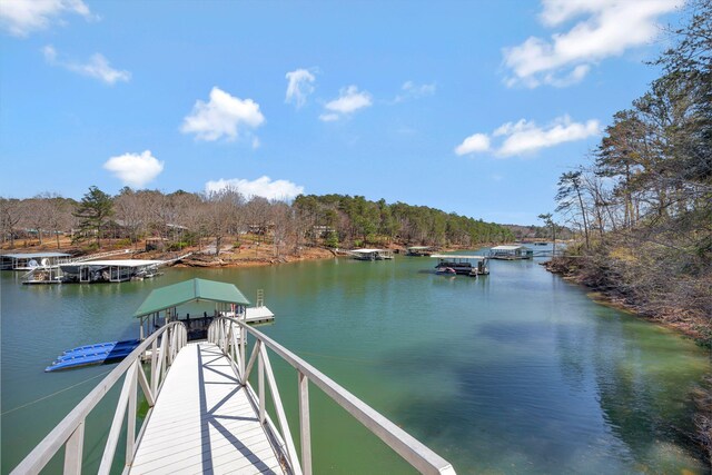 233 County Road 244, Arley, AL 35541 - photo 11