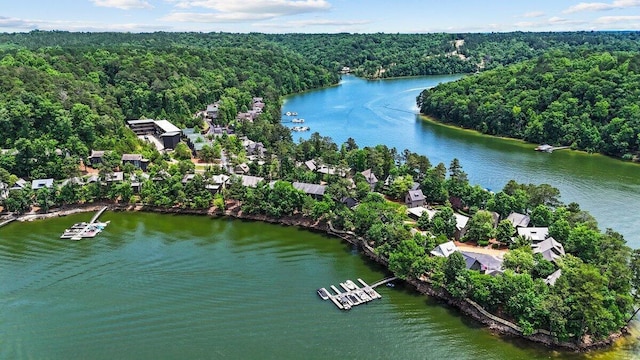 134 Turtle Point Dr, Crane Hill, AL 35053 - aerial view of property and surrounding area with a forest and a large body of water