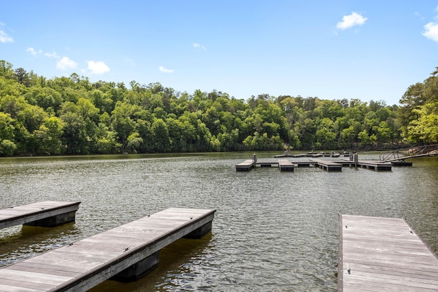 134 Turtle Point Dr, Crane Hill, AL 35053 - dock featuring a water view and a forest view