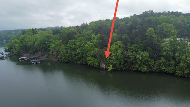LOTS1 County Road 198, Crane Hill, AL 35053 - photo 29
