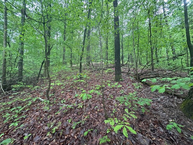 LOTS1 County Road 198, Crane Hill, AL 35053 - photo 16