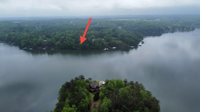 LOTS1 County Road 198, Crane Hill, AL 35053 - photo 26