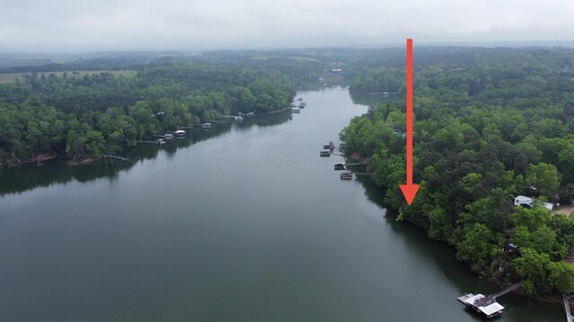 LOTS1 County Road 198, Crane Hill, AL 35053 - photo 27