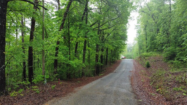 LOTS1 County Road 198, Crane Hill, AL 35053 - photo 5