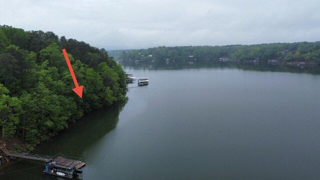 LOTS1 County Road 198, Crane Hill, AL 35053 - photo 31