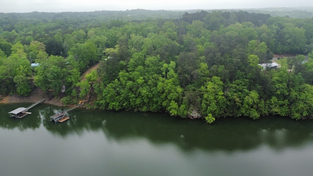 LOTS1 County Road 198, Crane Hill, AL 35053 - photo 1