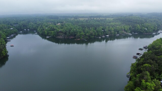 LOTS1 County Road 198, Crane Hill, AL 35053 - photo 25