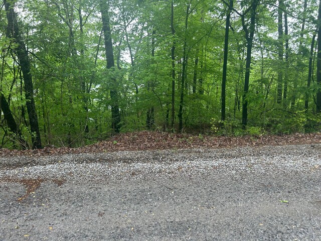 LOTS1 County Road 198, Crane Hill, AL 35053 - photo 20