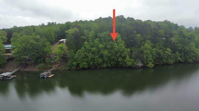 LOTS1 County Road 198, Crane Hill, AL 35053 - photo 35