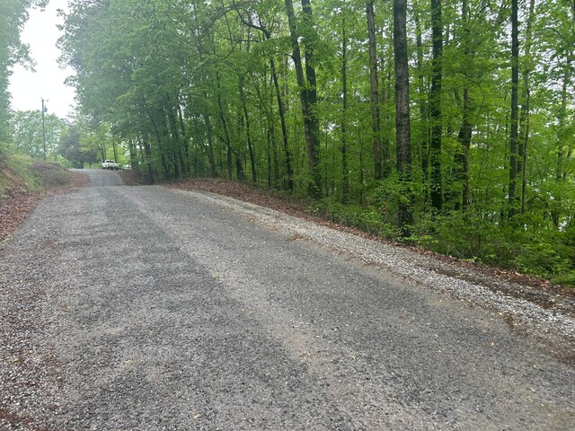 LOTS1 County Road 198, Crane Hill, AL 35053 - photo 21