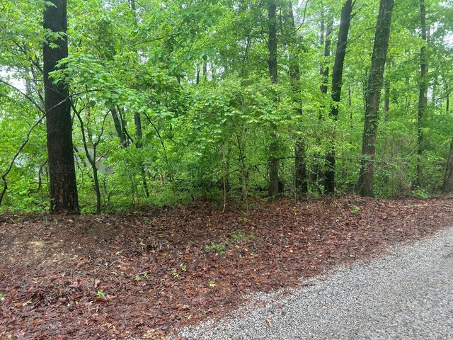 LOTS1 County Road 198, Crane Hill, AL 35053 - photo 22