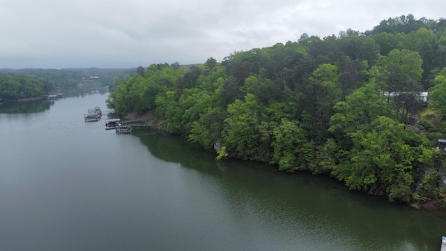 LOTS1 County Road 198, Crane Hill, AL 35053 - photo 30