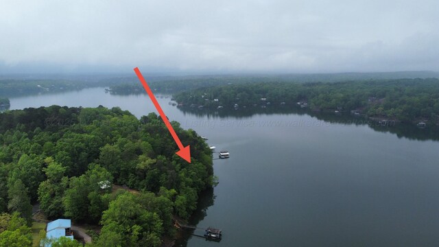 LOTS1 County Road 198, Crane Hill, AL 35053 - photo 32