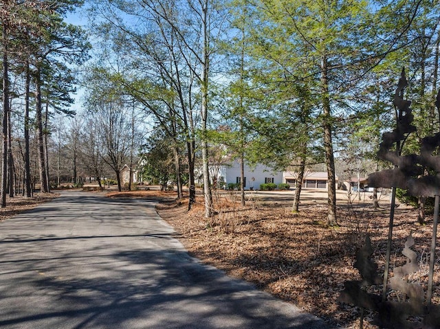 392 Baughn Rd, Jasper, AL 35503 - photo 5