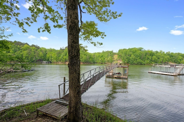 798 County Road 354, Crane Hill, AL 35053 - photo 3