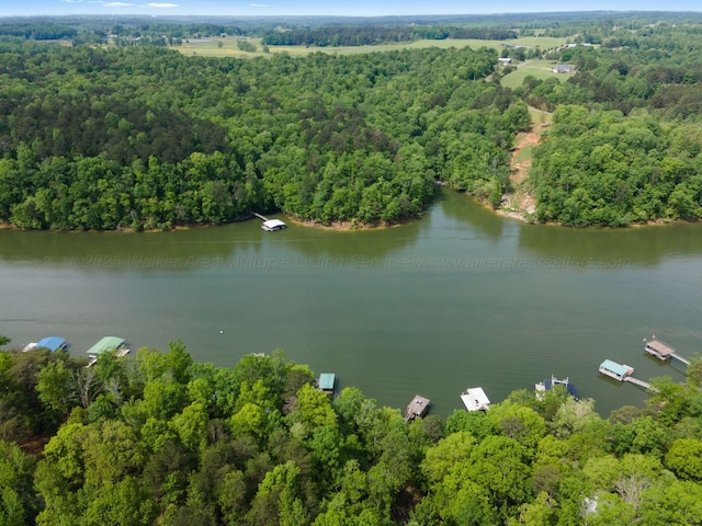 798 County Road 354, Crane Hill, AL 35053 - photo 5
