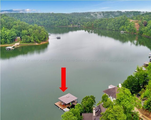 birds eye view of property featuring a water view