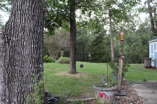 264 Skylark Ave, Winfield, AL 35594 - photo 21