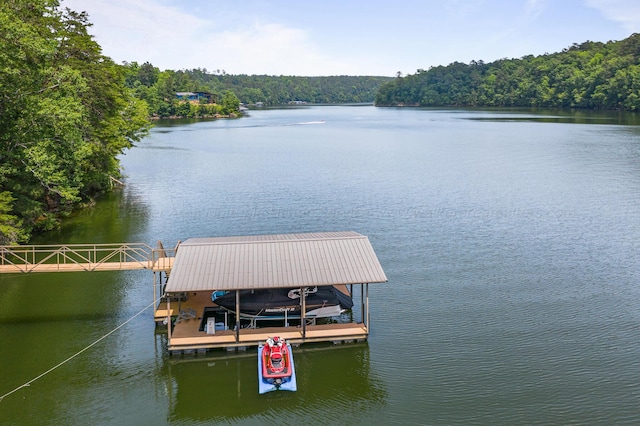 dock area featuring a water view