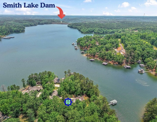 136 Grand Magnolia, Jasper, AL 35504 - bird's eye view of a heavily wooded area and a nearby body of water