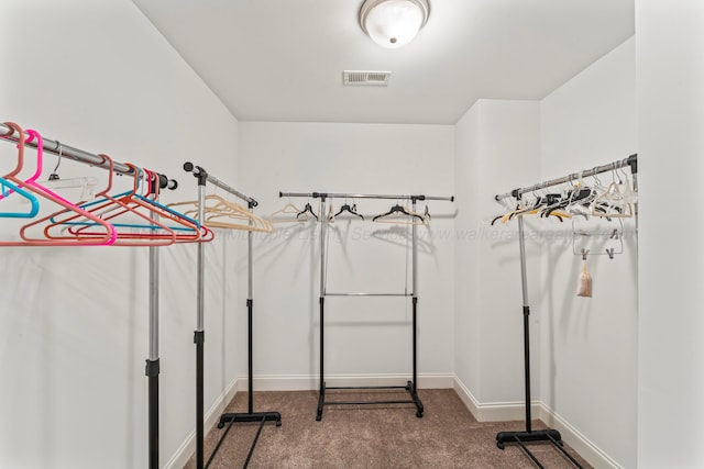 136 Grand Magnolia, Jasper, AL 35504 - walk in closet with carpet flooring
