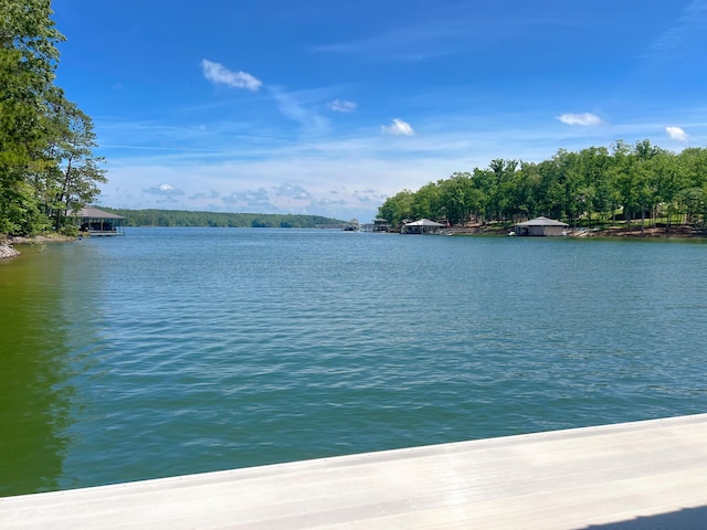 136 Grand Magnolia, Jasper, AL 35504 - water view