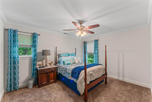 136 Grand Magnolia, Jasper, AL 35504 - bedroom with multiple windows, crown molding, light colored carpet, and baseboards