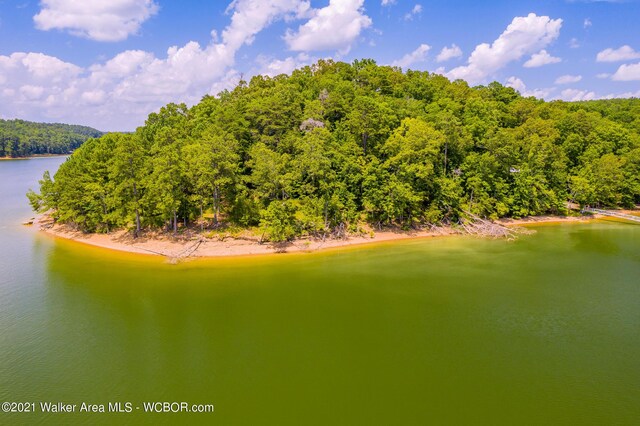 551 County Road 4001, Logan, AL 35098 - photo 10